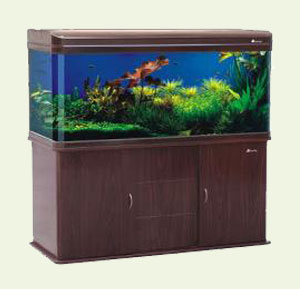 Fish Tanks, Aquarium Accessories and Supplies