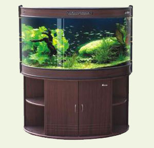 Fish Tank Accessories