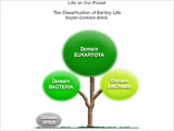 The Classification of Life