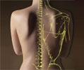 Chiropractic Care