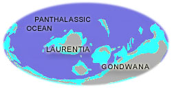 Cambrian Earth