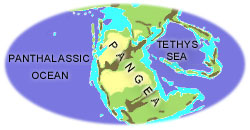 Triassic Earth
