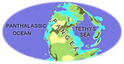 Permian Earth